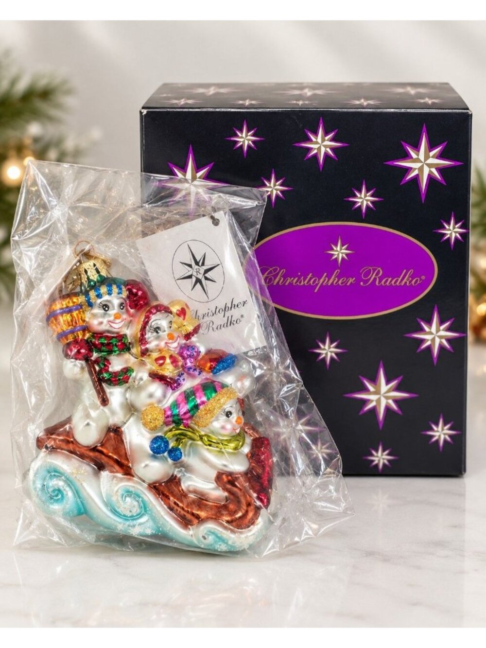 Christopher Radko Family Outing 2001 Glass Ornament 01-0727-CB Sealed Bag Box